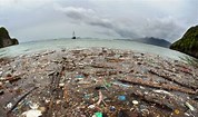 Image result for Niihau pollution