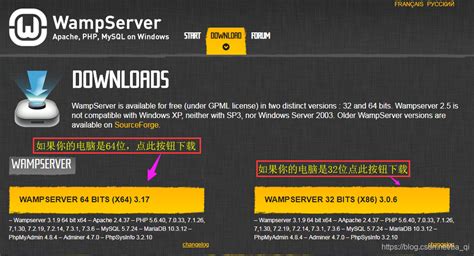 Wampserver下载安装使用教程 Csdn博客