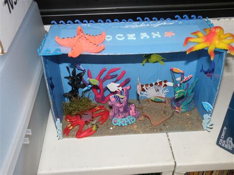 Rainforest Project Diorama Exampleshow To Class 406