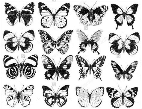 9 Best Butterfly Silhouettes Free Psd Vector Eps Format Download
