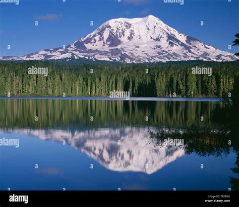 Usa Washington Ford Pinchot National Forest Mt Adams Reflects In