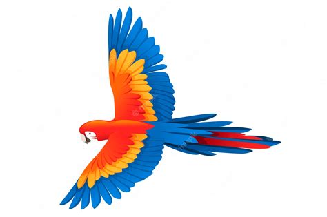 Papagaio Adulto Da Arara Vermelha E Verde Ara Voando Ara Chloropterus