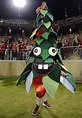 Please enjoy Stanford University's mascot a Tree. : r/marijuanaenthusiasts