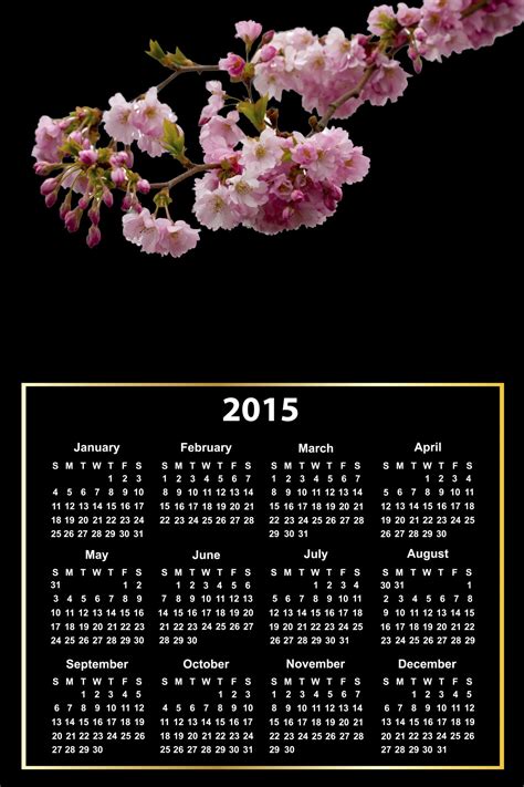 2015 Calendar Pink Blossom Free Stock Photo Public Domain Pictures