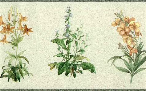 Please contact us if you want to publish a vintage blue wallpaper on our site. Botanical Floral Vintage Wallpaper Border Blue Yellow Orange