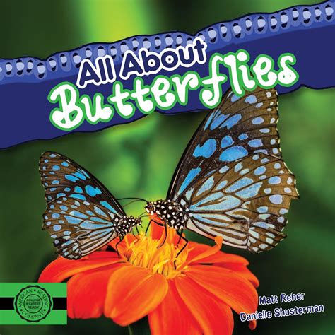 All About Butterflies By Danielle Shusterman