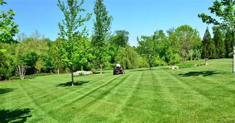 Efficient Mowing Techniques For Best Looking Lawn