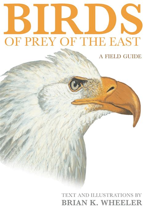 Another Bird Blog Book Review Birds Of Prey By Brian K Wheeler