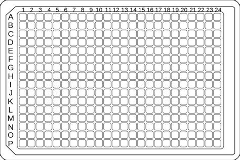 384 Well Plate Template