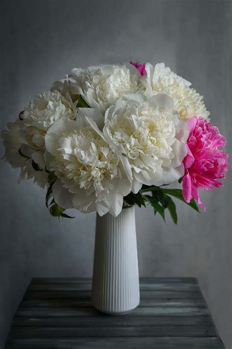 Peonies Vase Bouquet Free Photo On Pixabay Pixabay