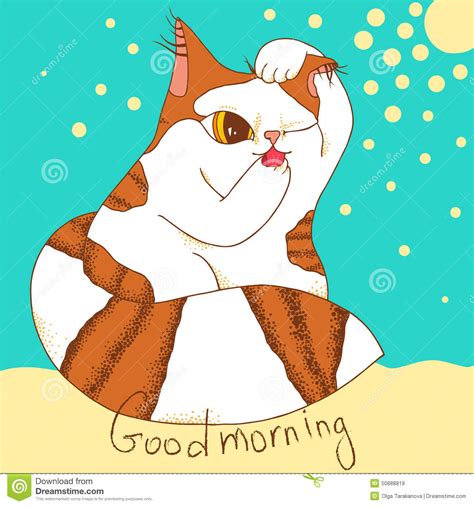 Morning Cat Stock Vector Image 50888819
