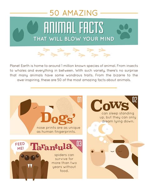 Top 170 Interesting Facts About Animals With Pictures