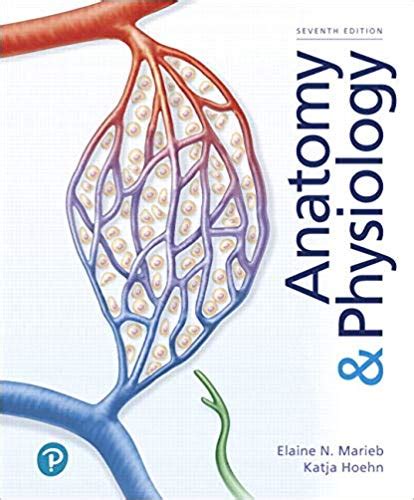 Ebook Pdfanatomy And Physiology 7th Edition By Elaine N Marieb