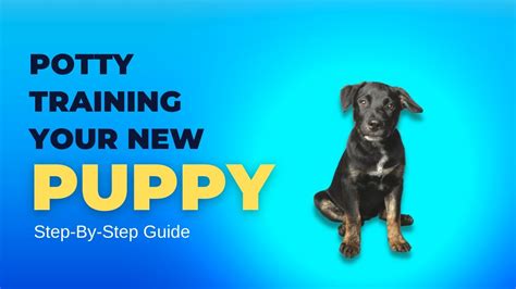 Step By Step Guide To Potty Training Your New Puppy Easily Tips And
