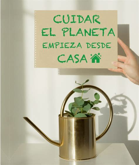 5 acciones para cuidar el medio ambiente desde casa RITUAL DÉCO