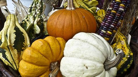 Use all the seaonal items like pumpkins & leaves to diy. 3 Pumpkin Colors Free Stock Photo - Public Domain Pictures