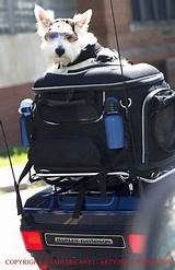 Photos of Cool Dog Carriers