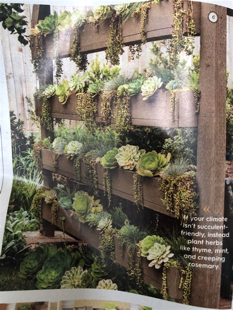 Diy Vertical Succulent Wall Planter