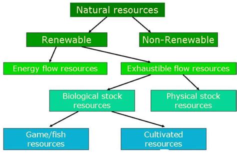 Scienceallthetime Types Of Natural Resources