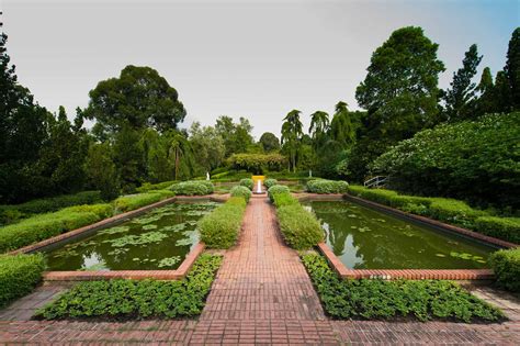 Botanical Gardens In Singapore Photos