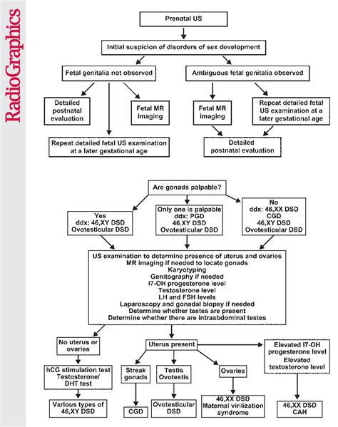 Figure 9 From Evaluation And Management Of Disorders Of Sex Development