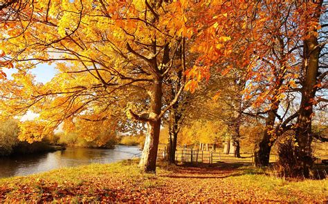 Herfst Wallpapers Herfstfotos Mooie Leuke Achtergronden Voor Je