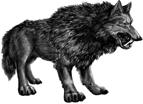 Download The Smaller Wolf Snarls At Obrien, Perhaps Because - Dire Wolf ...
