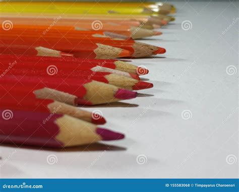 Row Of Warm Tone Colored Pencils 9 Stock Photo Image Of Focus