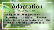 Adaptation Definition and Examples - Biology Online Dictionary