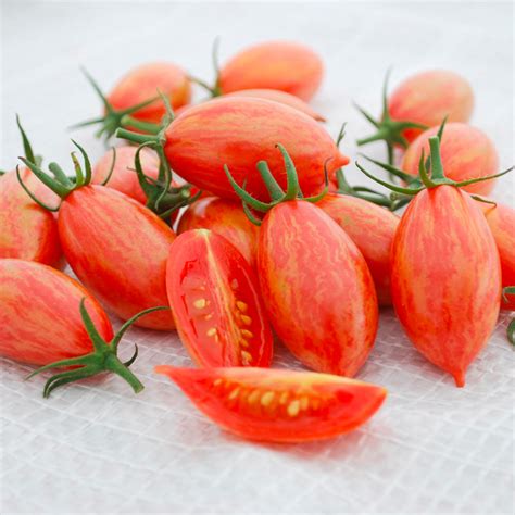 Buy Tomato Seeds Artisan Pink Tiger Indeterminate Organic