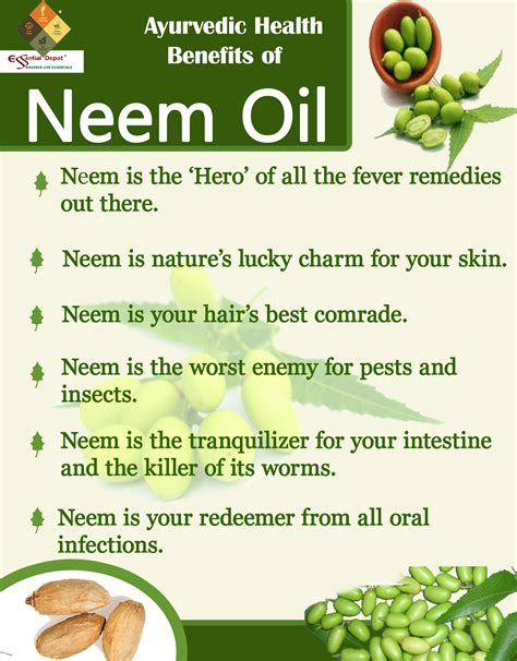 Health Benefits Of Neem Oil Ayurvedic Oils