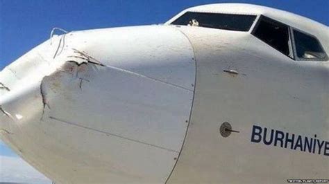 When A Plane Collides With A Flock Of Birds It Can Be Messy Bbc News