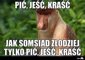 BESTY.pl - Janusz Hemingway in 2020 | Silly jokes, Very funny memes ...