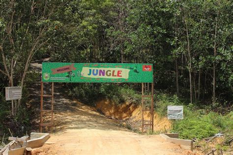 Taman hutan raya atau yang dikenal dengan tahura merupakan salah satu program yang dicanangkan pemerintah sebagai upaya untuk menjaga taman hutan raya (tahura) adalah sebuah kawasan pelestarian alam yang bertujuan untuk tempat mengoleksi tumbuhan atau satwa, baik jenis. KONSEP PENGELOLAAN HUTAN KOTA SANGGAU - Kabar Sanggau