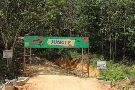 Anggota pansi ini dibina oleh perhutani dan pernah memperoleh sosialisasi peraturan (kewajiban dan larangan) dalam memmanfaatkan hutan sebagai. KONSEP PENGELOLAAN HUTAN KOTA SANGGAU - Kabar Sanggau