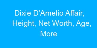 Dixie D Amelio Affair Height Net Worth Age More