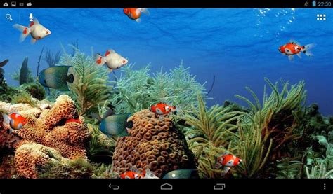 Aquarium Live Wallpaper Free Android Live Wallpaper Download Appraw