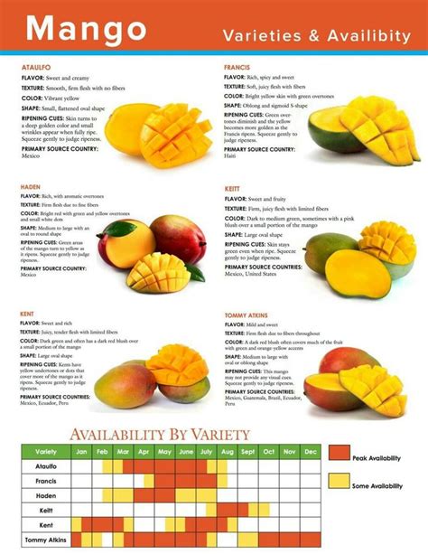 Mango Types Food Infographic Mango Varieties Food Health Benefits