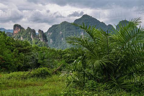 Scenic View Of Limestone Mountains At Khao Sok National Park Stock