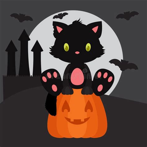 万圣夜黑色小猫坐南瓜 向量例证 插画 包括有 艺术 黑暗 动画片 设计 哺乳动物 欢乐 夹子
