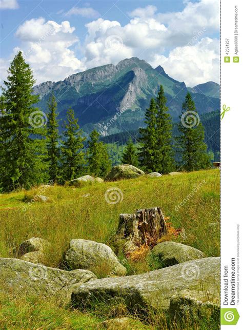 Mountains Stock Image Image Of Rural Rocks Plant