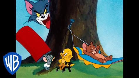 Tom And Jerry Feeling Adventurous Classic Cartoon Compilation Wb