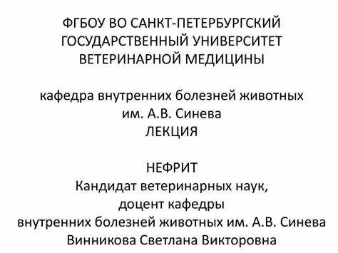 Нефрит - презентация онлайн Картинка - Нефрит - презентация онлайн