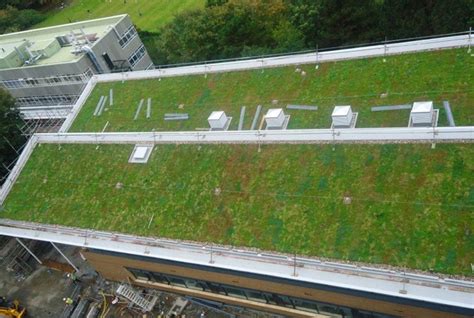 Sig Design And Technology Modular Green Roofs Archives Sig Design