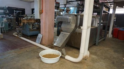 Seafdec Upgrades Feed Mill To Boost Production Of Low Cost Aquaculture