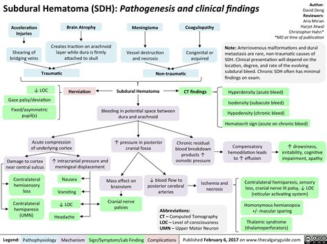Subdural Hematoma Pathogenesis And Clinical Findings Calgary Guide