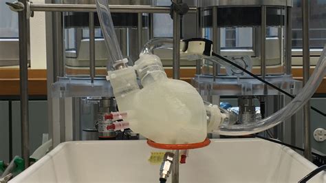 Researchers 3d Printed A Soft Artificial Heart That Beats Like A Human