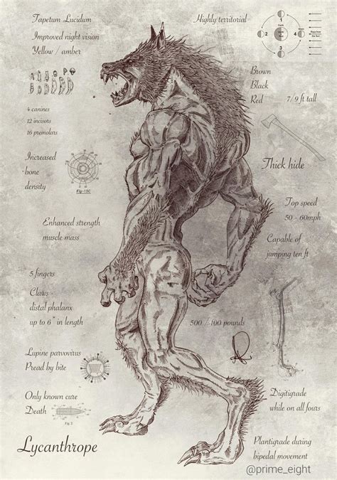 Lycanthrope Werewolf Art Creature Art Werewolf