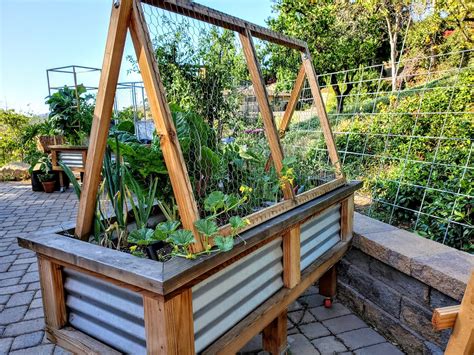 How To Build A Cucumber Trellis For Raised Beds Kellogg Garden Organics™