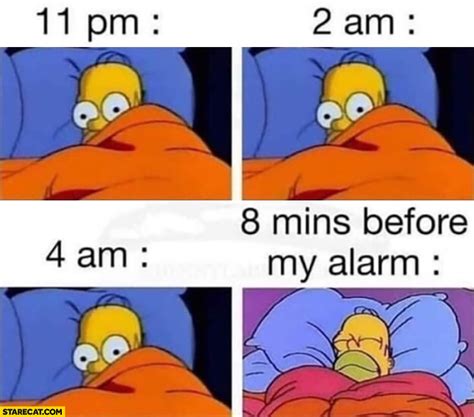 Homer Simpson Sleep Meme
